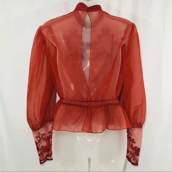 Vintage Burnt Orange Sheer Embroidered Tie Top - Picture 3 of 9